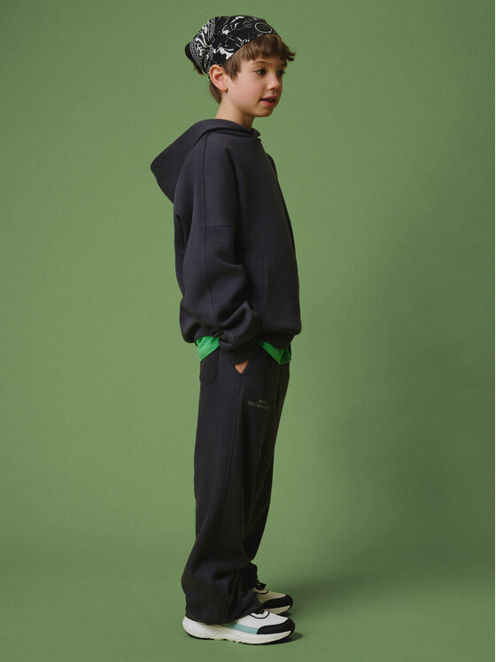 4F 4F Bluza ENJOY THE OUTDOORS Szary ciemny Loose Fit