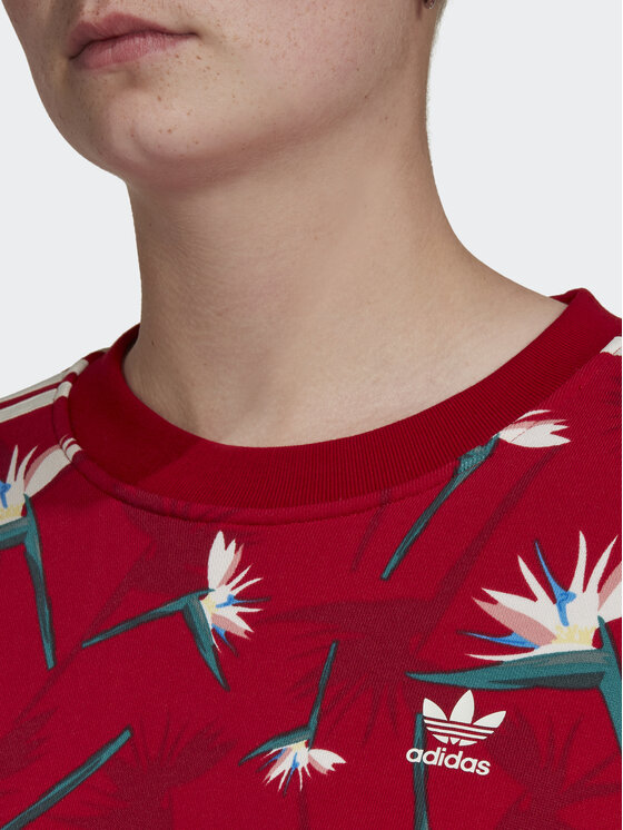 adidas Sweatshirt THEBE MAGUGU HK5213 Rot Relaxed Fit | Modivo.de
