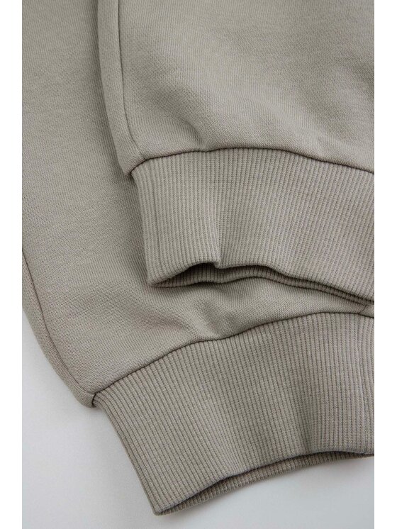 Coccodrillo Coccodrillo Spodnie dresowe WC6120102RBJ-019 Szary Regular Fit