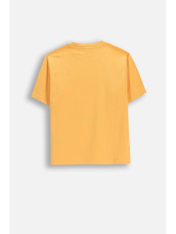 Coccodrillo Coccodrillo T-Shirt WC6143205MBJ-006 Pomarańczowy Regular Fit