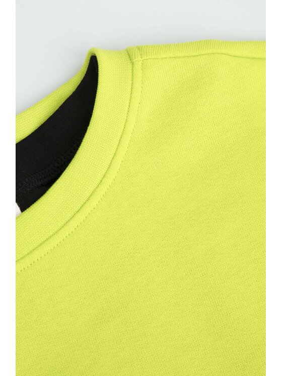 Coccodrillo Coccodrillo Bluza WC4132101JPJ-011 Zielony Regular Fit