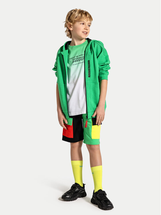 Coccodrillo Coccodrillo Sweatshirt WC4132401DWJ Grün Regular Fit