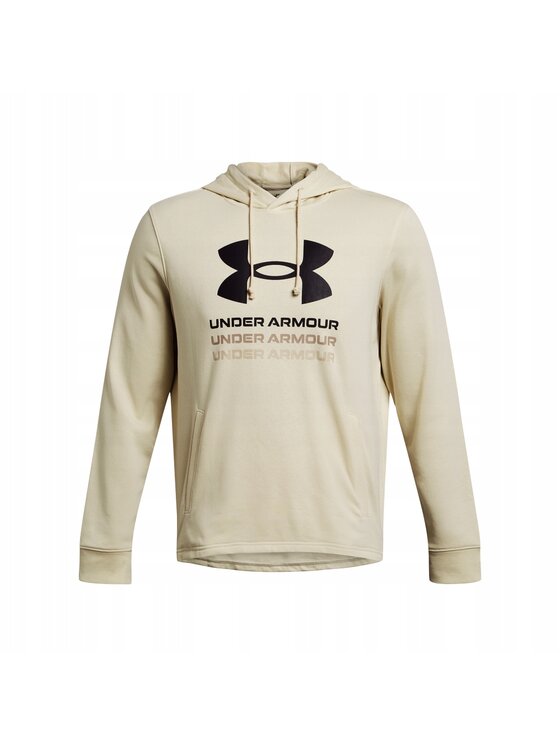 Under Armour Under Armour Bluza 1386047 Beżowy Regular Fit
