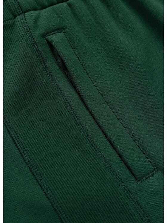 PITBULL PITBULL Szorty sportowe BADGER Zielony Regular Fit