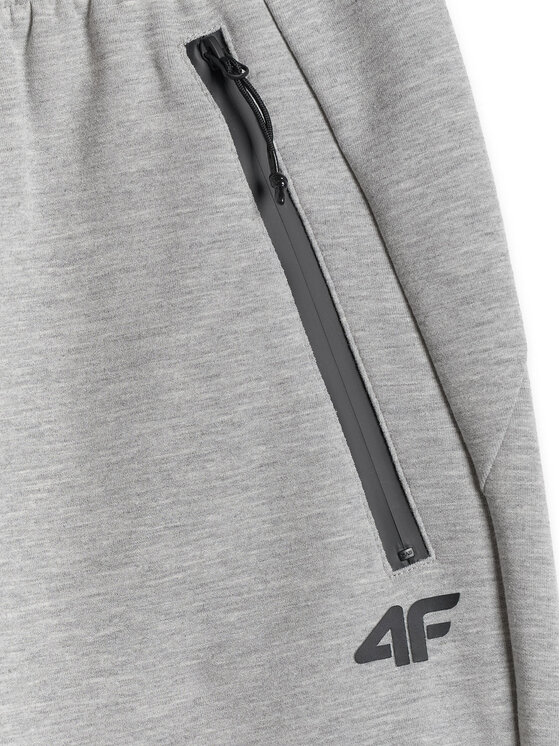 4F 4F Spodnie dresowe COMMERCIAL 12 Szary jasny Regular Fit