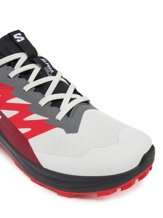 Salomon Salomon Tekaški čevlji Alphaglide Gore-Tex L47802200 Siva