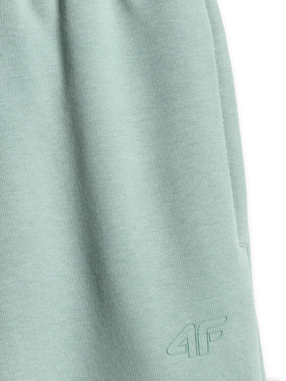 4F 4F Spodnie dresowe BASIC+ Turkusowy Regular Fit