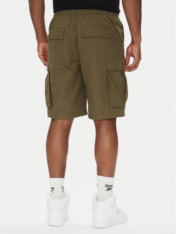 DC DC Stoffshorts Tundra ADYWS03086 Grün Regular Fit