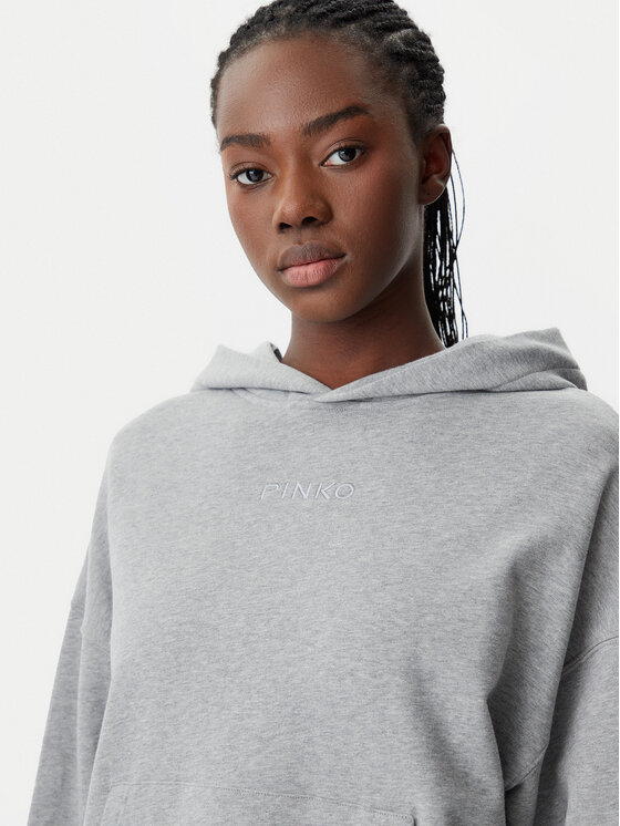 PINKO PINKO Світшот 104623 A2F9 I42 Сірий Regular Fit