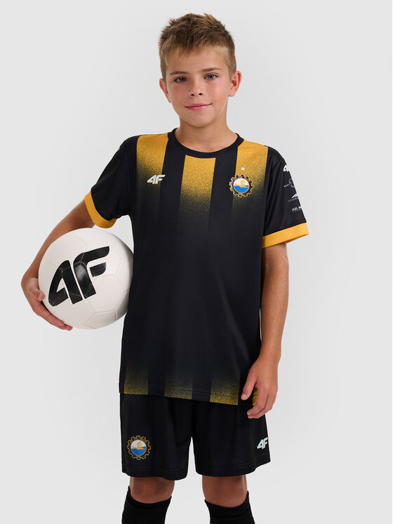 4F 4F Koszulka techniczna TEAMWEAR Kolorowy Regular Fit