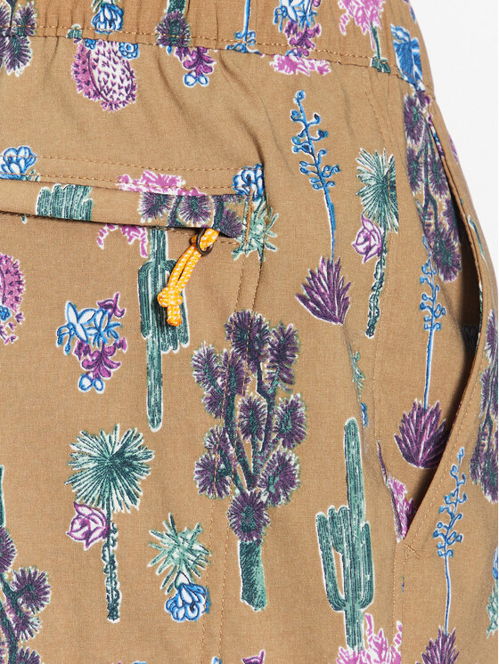 The North Face The North Face Αθλητικό σορτς Class V NF0A5A5X Καφέ Regular Fit