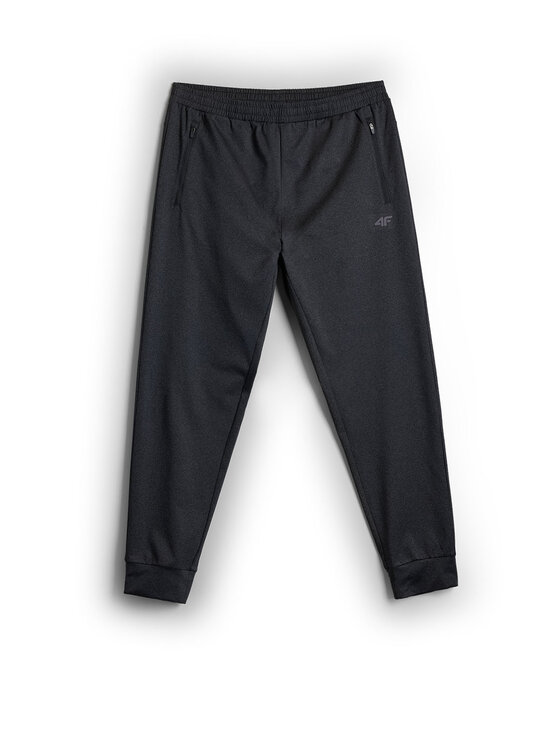 4F 4F Spodnie dresowe BASIC+ Granatowy Regular Fit
