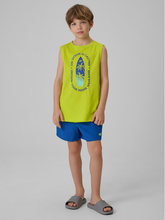 4F 4F Szorty sportowe BEACHSIDE CHILL Zielony Regular Fit