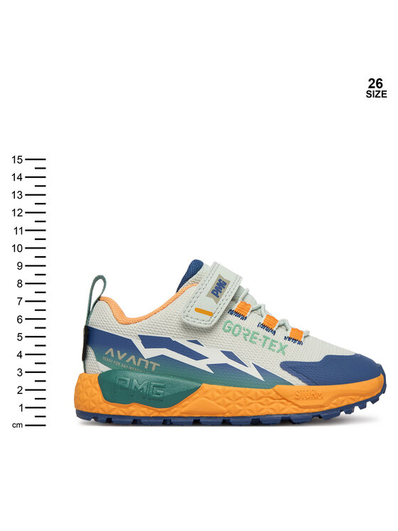 Primigi Primigi Sneakers AVANT Gtx 1431033 M Grigio