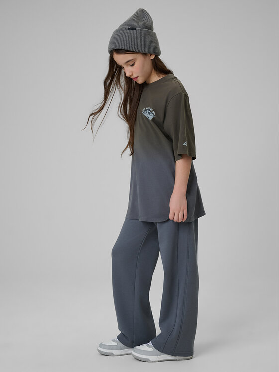 4F 4F Spodnie dresowe WILD WANDERLUST Szary ciemny Loose Fit