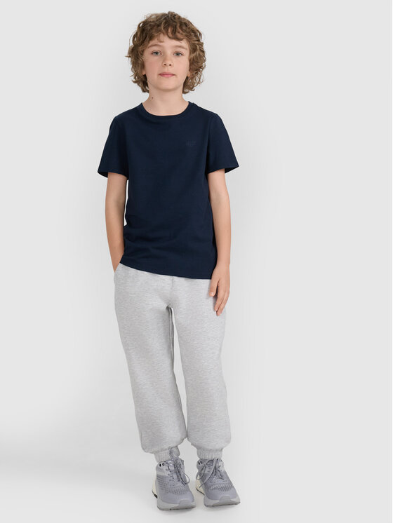 4F 4F T-Shirt BASIC+ Granatowy Regular Fit