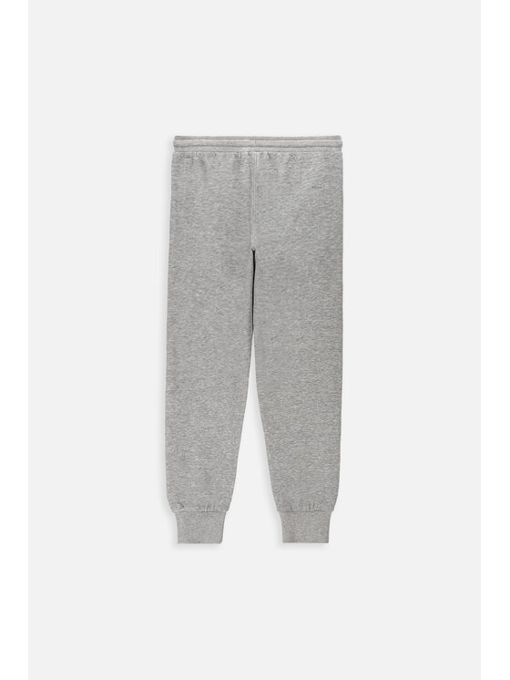 Lemon Explore Lemon Explore Spodnie dresowe WL4120107CWB-019 Szary Regular Fit