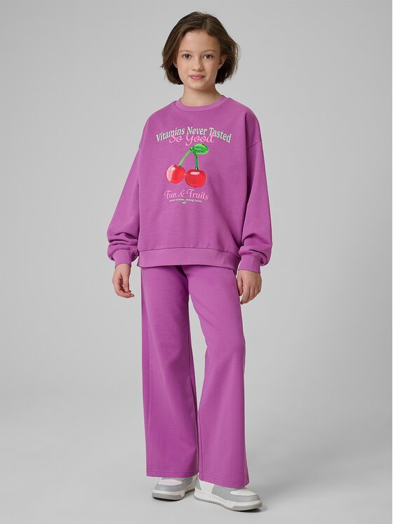 4F 4F Pantaloni da tuta 4FJRSS26TTROF1918-51S Viola Regular Fit