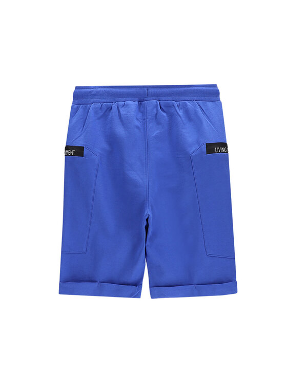 Coccodrillo Coccodrillo Szorty sportowe WC5120501IBJ Niebieski Regular Fit