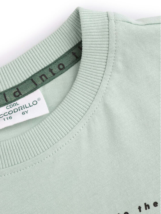 Coccodrillo Coccodrillo T-krekls WC5143202WBK Zaļš Regular Fit