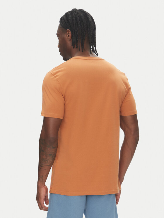 Quiksilver Quiksilver T-särk Ev Three Seas Ss EQYZT08051 Pruun Regular Fit