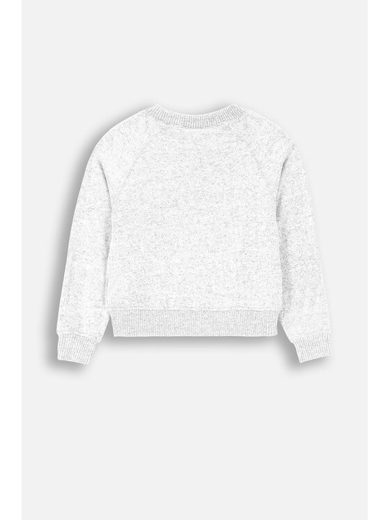 Coccodrillo Coccodrillo Sweter ZC4172104EPG-019 Szary Regular Fit