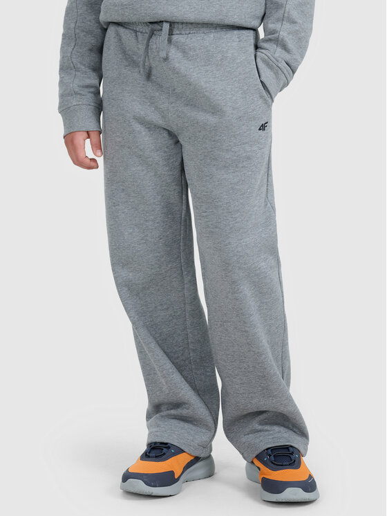 4F 4F Spodnie dresowe BASIC+ Szary Regular Fit