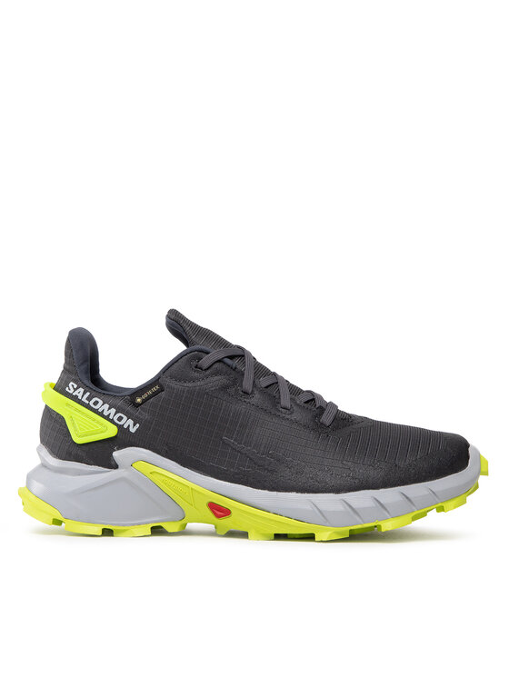 Salomon Salomon Jooksujalatsid Alphacross 4 Gtx GORE-TEX 470667 26 V0 Hall