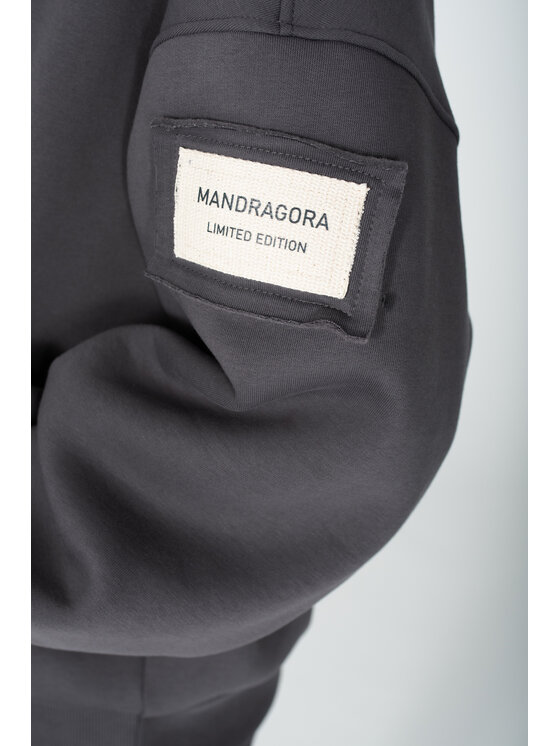 MANDRAGORA MANDRAGORA Bluza cangaroo Szary Oversize