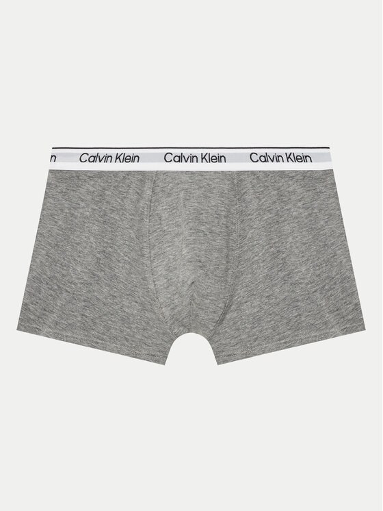 Calvin Klein Underwear Calvin Klein Underwear Set od 2 para bokserica B70B700506 Šarena
