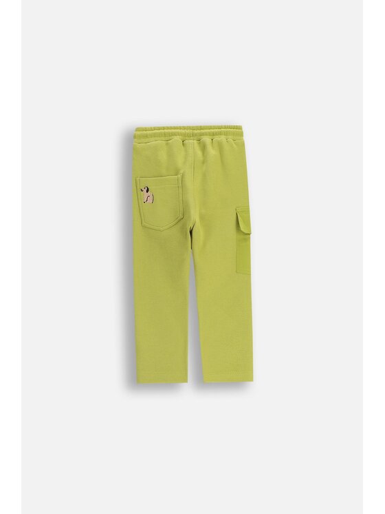 Coccodrillo Coccodrillo Teplákové kalhoty ZC5120103BBN-012 Zelená Regular Fit
