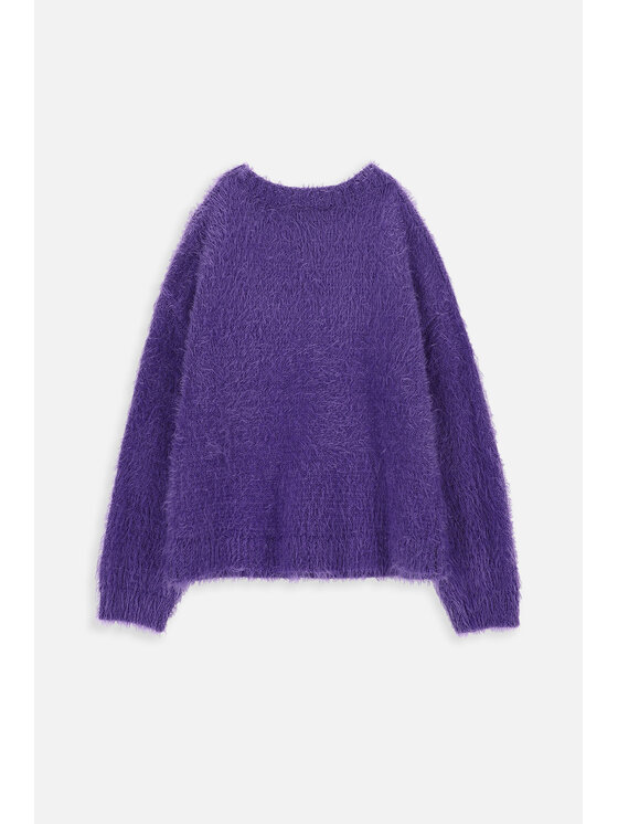 Coccodrillo Coccodrillo Sweter ZC3172101GGK-016 Fioletowy Regular Fit