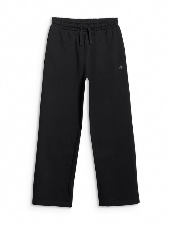 4F 4F Spodnie dresowe BASIC+ Czarny Regular Fit