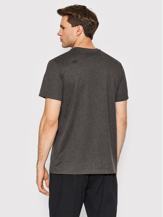 4F 4F T-Shirt H4L22-TSM352 Szary Regular Fit