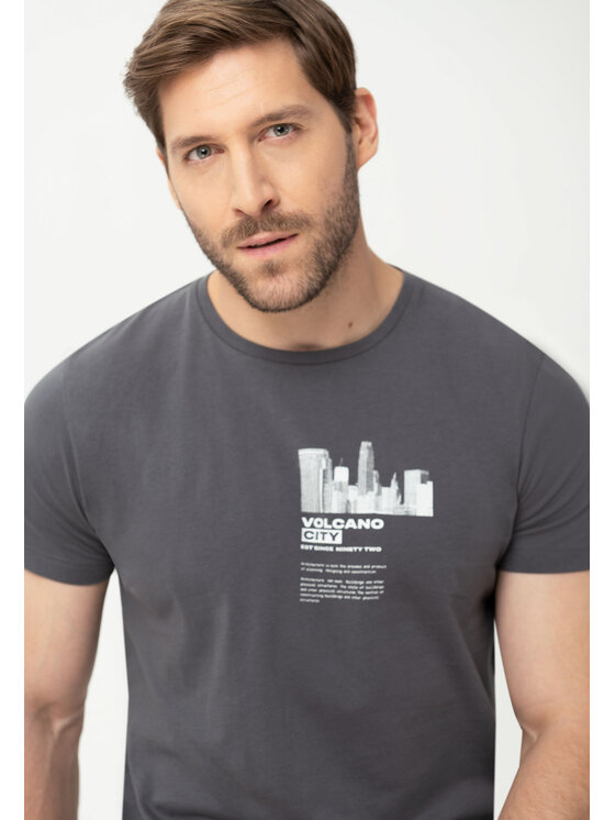 Volcano Volcano T-Shirt T-LUMINARY Szary Regular Fit