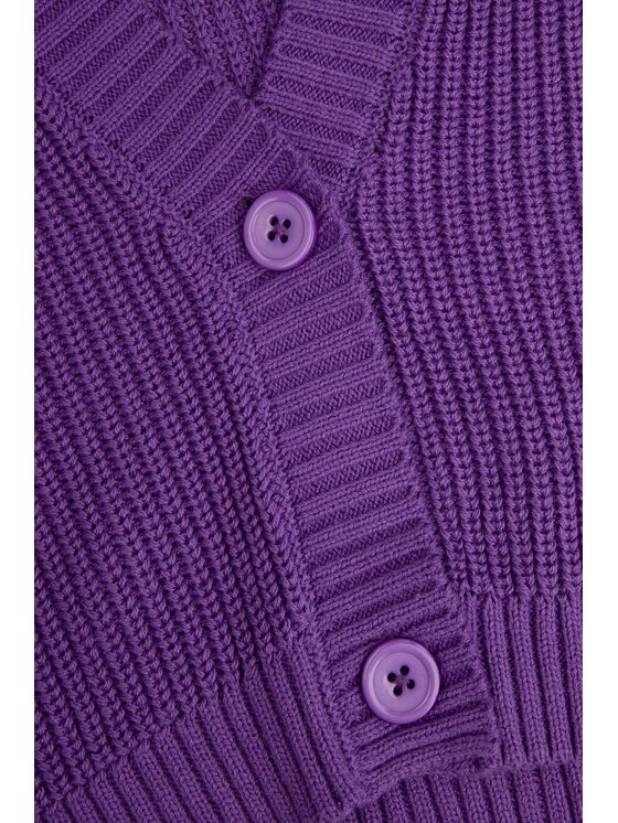 Coccodrillo Coccodrillo Sweter WC4172201JPJ-016 Fioletowy Regular Fit