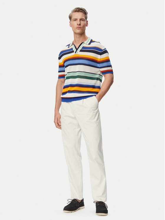 Tommy Hilfiger Tommy Hilfiger Polo särk MW0MW43250 Värviline Regular Fit
