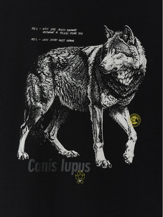 4F 4F T-Shirt OVERLAND Czarny Regular Fit