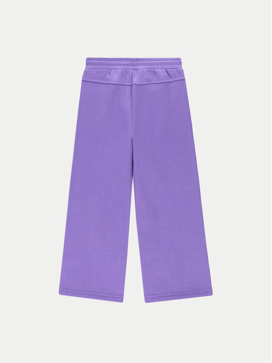 Coccodrillo Coccodrillo Jogginghose ZC4120101AGK Violett Regular Fit