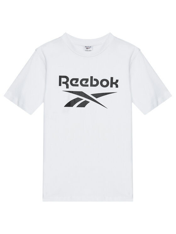 Reebok Reebok T-krekla un šortu komplekts Blake RK95033CCB Daudzkrāsains Regular Fit