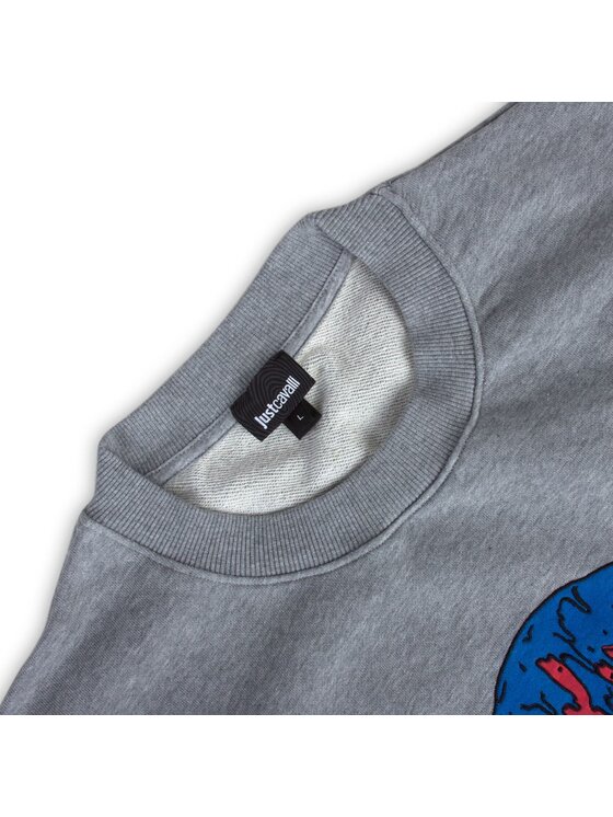 Just Cavalli Just Cavalli Mikina S03GU 0072 Sivá Regular Fit