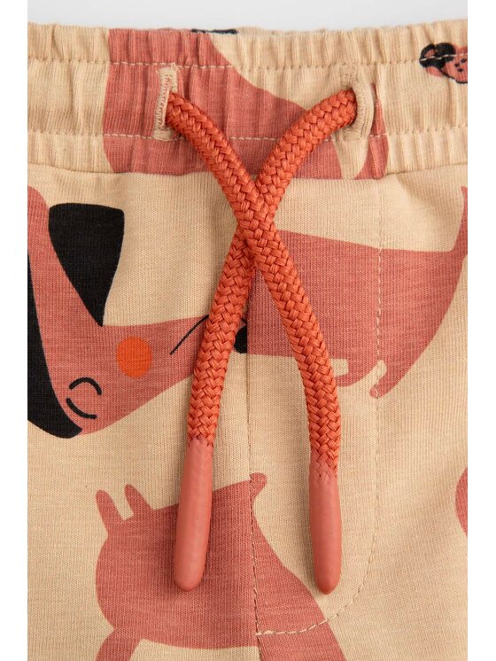 Coccodrillo Coccodrillo Spodnie dresowe ZC4122101BBN-002 Beżowy Regular Fit