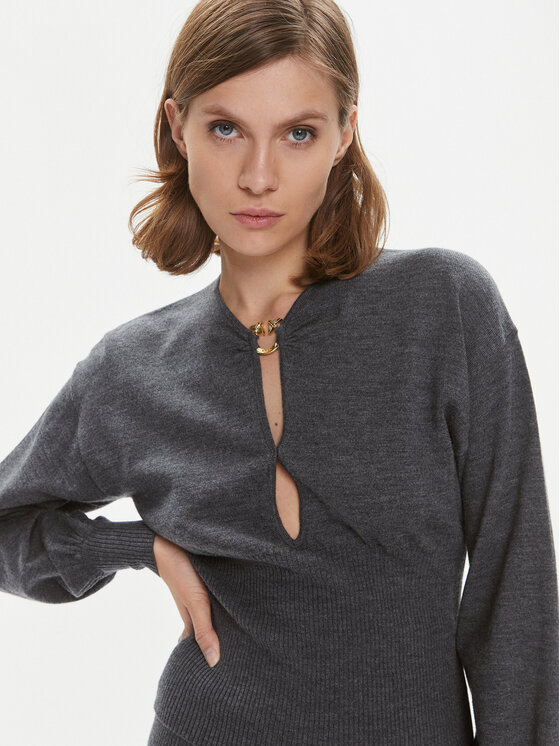 PINKO Pinko Svetr Chioccia 101848 A15S Šedá Regular Fit