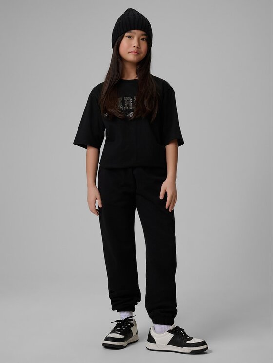 4F 4F Spodnie dresowe BASIC+ Czarny Regular Fit