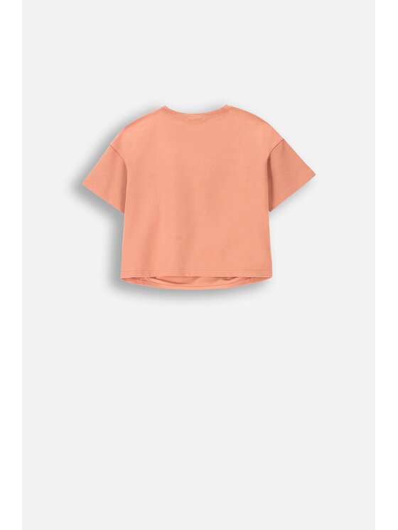 Coccodrillo Coccodrillo T-Shirt ZC4143201RGJ-033 Różowy Regular Fit