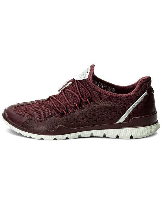 Ecco lynx best sale