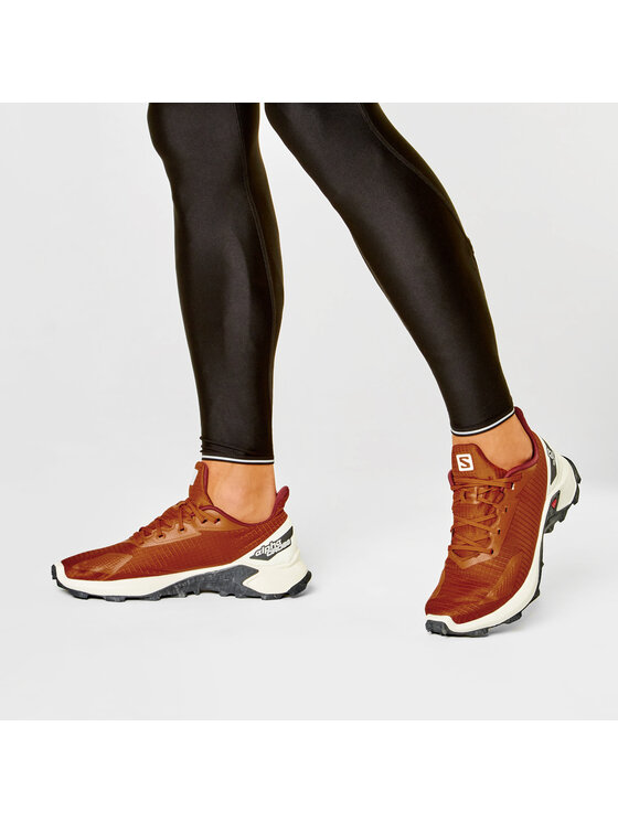 Salomon Salomon Παπούτσια για Τρέξιμο Alphacross Blast 411035 28 W0 Καφέ