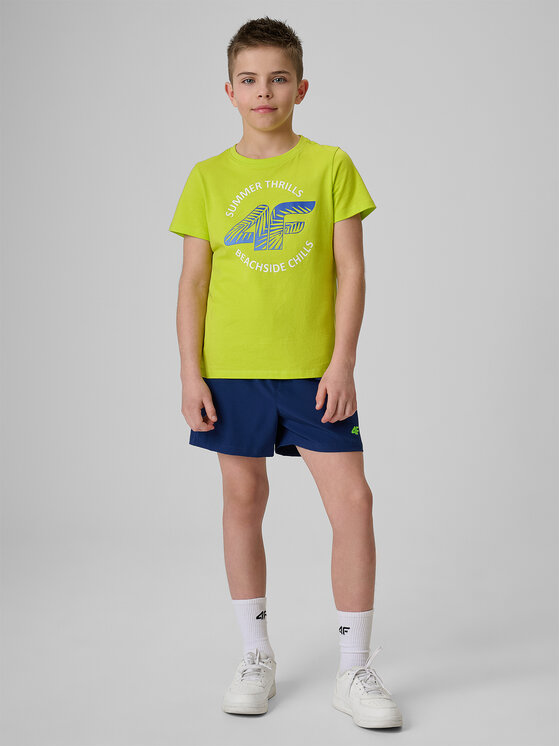 4F 4F T-Shirt BEACHSIDE CHILL Zielony Loose Fit