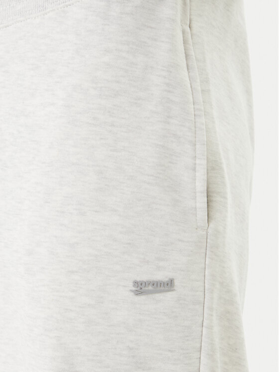 Sprandi Sprandi Спортивні штани W126-SIMSP-1009-40M Сірий Regular Fit