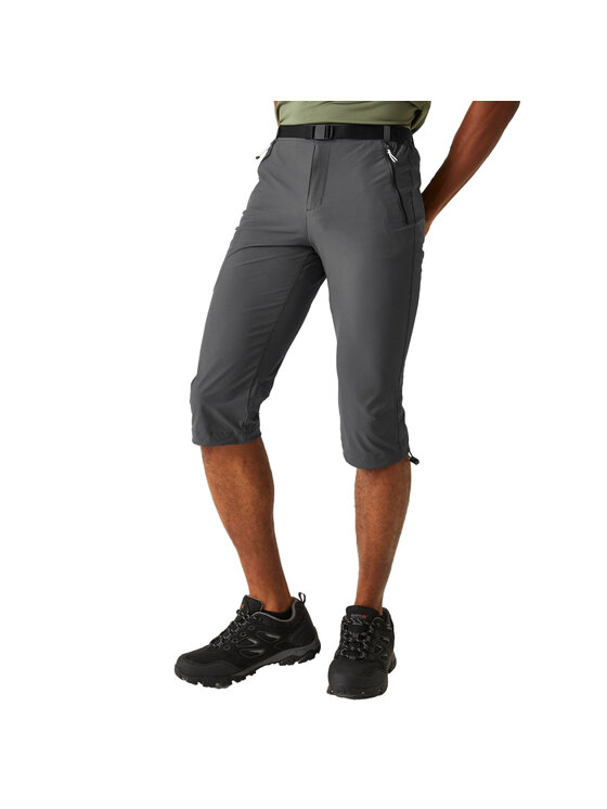 Regatta Regatta Szorty Xert Stretch III Szary Active Fit